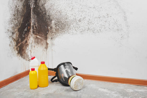 Best Mold Testing  in Mansfield, TX