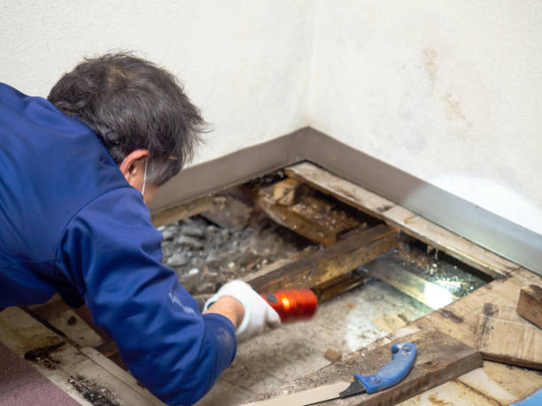 Best Crawl Space Mold Removal  in Mansfield, TX