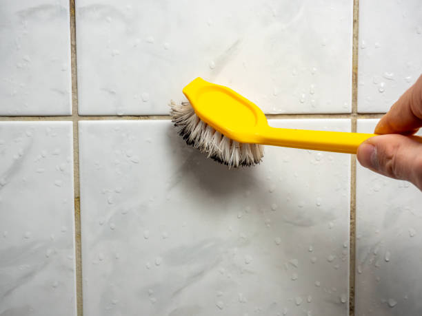 Best Office Mold Removal Services  in Mansfield, TX