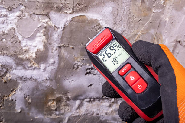 Best Mold Testing and Removal  in Mansfield, TX