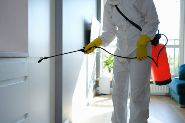 Reliable Mansfield, TX Mold Removal Solutions