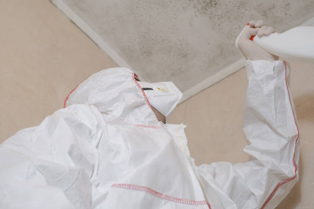 Certified Mold Removal in Mansfield, TX