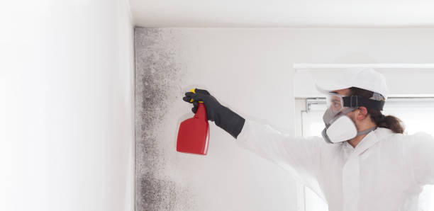 Best Emergency Mold Removal  in Mansfield, TX