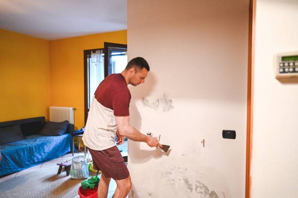 Best Toxic Mold Removal  in Mansfield, TX