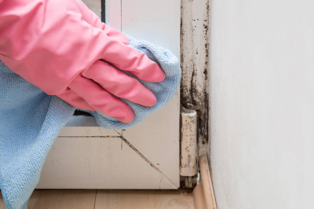 Water Damage Restoration in Mansfield, TX