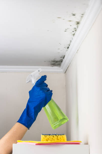 Best Crawl Space Mold Removal  in Mansfield, TX